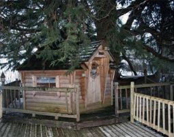 England Tree House