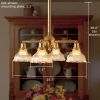 Shoreland™ Four Light Chandelier with 2-1/4 in. shade holders down