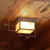 Hillside Lantern 10 in. Kitchen Ceiling Light