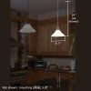Retro™ One Light Pendant with 2-1/4 in. shade holder