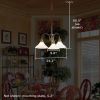 Provence™ Three Light Chandelier with 2-1/4 in. shade holders down