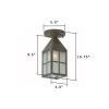 Carriage Lantern™ 4 in. Patio Ceiling Light