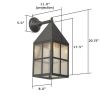 Carriage Lantern™ 8 in. Wide Straight Arm Exterior Wall Light