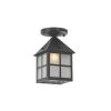 Cottage Lantern™ 6 in. Craftsman Style Exterior Ceiling Light
