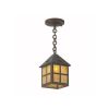 Cottage Lantern™ 6 in. Craftsman Style Exterior Pendant Lighr