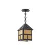 Cottage Lantern™ 8 in. Craftsman Style Exterior Pendant Light