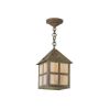 Cottage Lantern™ 10 in. Craftsman Style Exterior Pendant Light