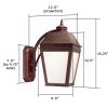 Provincial Lantern™ 9 in. Traditional Exterior Wall Light