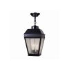 Provincial Lantern™ 13 in. Traditional Pendant Light