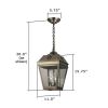 French Country Lantern 11 in. Pendant Light
