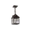 Stonehaven Lantern™ 8 in. Wide Chain Hung Exterior Pendant Light