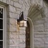 European Country™ Lantern 8 in. Patio Wall Light