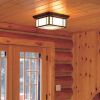 Hillside™ Lantern 12 in. Living Room Ceiling Light
