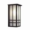 Studio Lantern™ 7 in. Wide Flush Exterior Wall Light with Roof