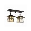 Stamford™ Two Light Rustic Ceiling Light