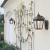 Provincial™ Lantern 6 in. Traditional Wall Light