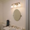 Shoreland™ Three Light Bathroom Vanity